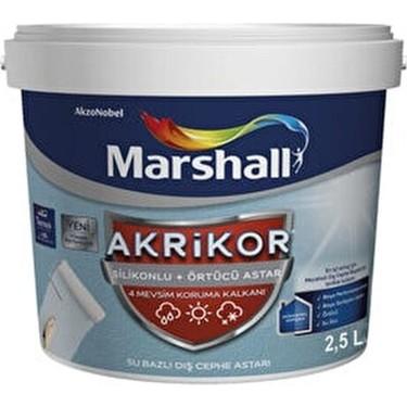 Akrikor Silikonlu+Örtücü Astar