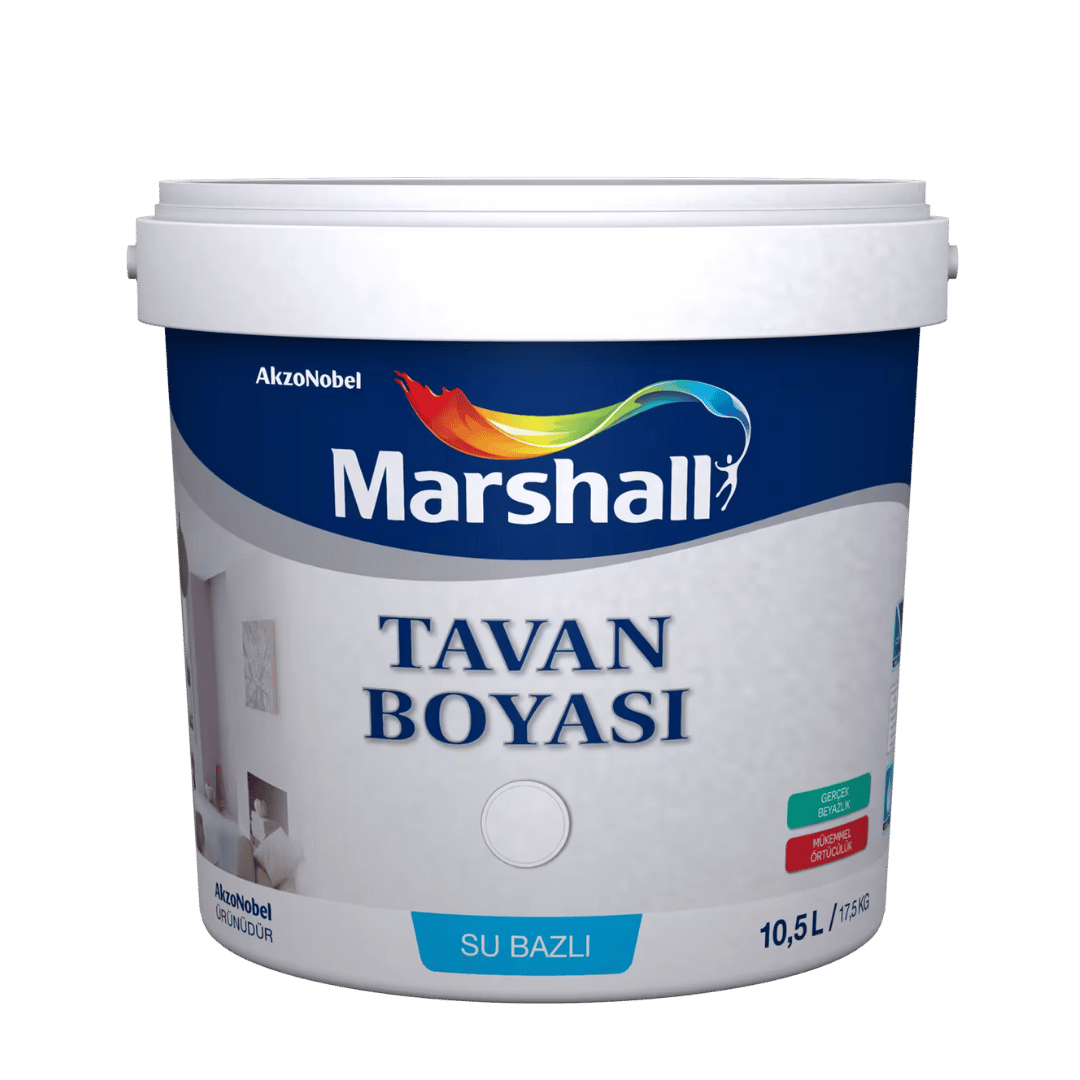 Marshall Tavan Boyası 